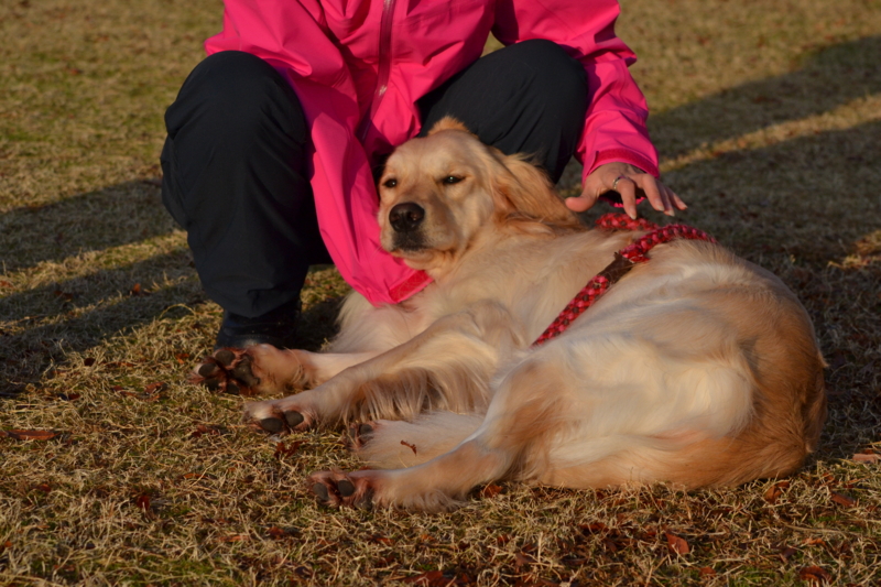 f:id:reeyan:20141222101417j:image f:id:reeyan:20141222101417j:image