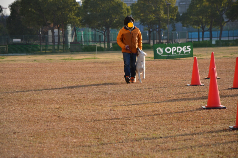 f:id:reeyan:20141222101925j:image f:id:reeyan:20141222101925j:image