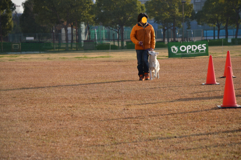 f:id:reeyan:20141222101948j:image f:id:reeyan:20141222101948j:image