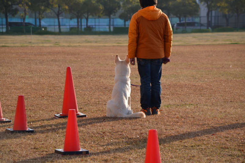 f:id:reeyan:20141222102006j:image f:id:reeyan:20141222102006j:image