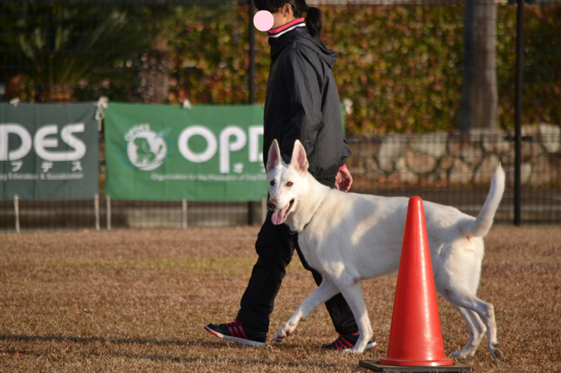 f:id:reeyan:20141222102024j:image f:id:reeyan:20141222102024j:image