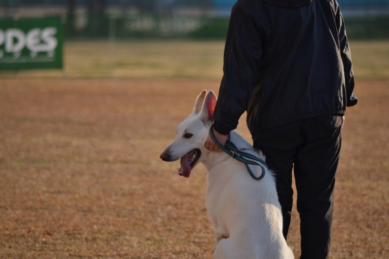 f:id:reeyan:20141222102044j:image f:id:reeyan:20141222102044j:image