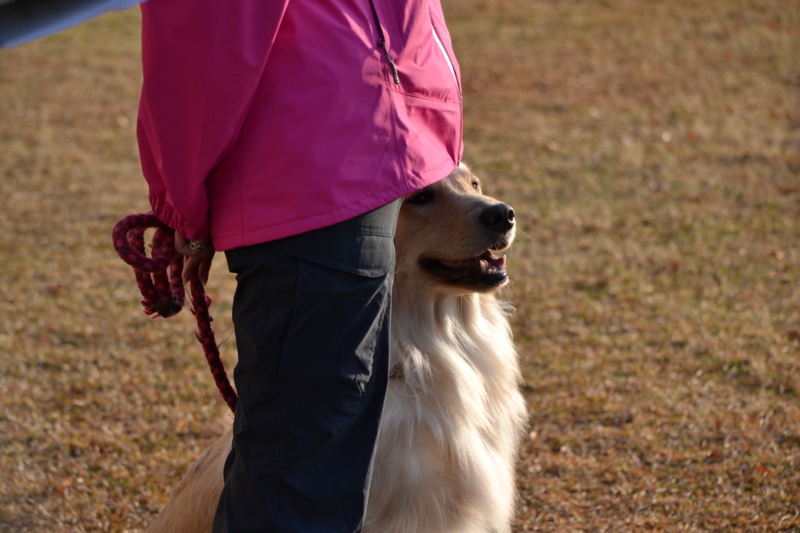 f:id:reeyan:20141222120324j:image f:id:reeyan:20141222120324j:image