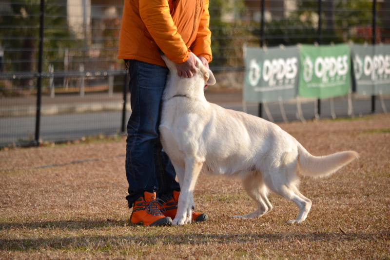 f:id:reeyan:20141222120343j:image f:id:reeyan:20141222120343j:image