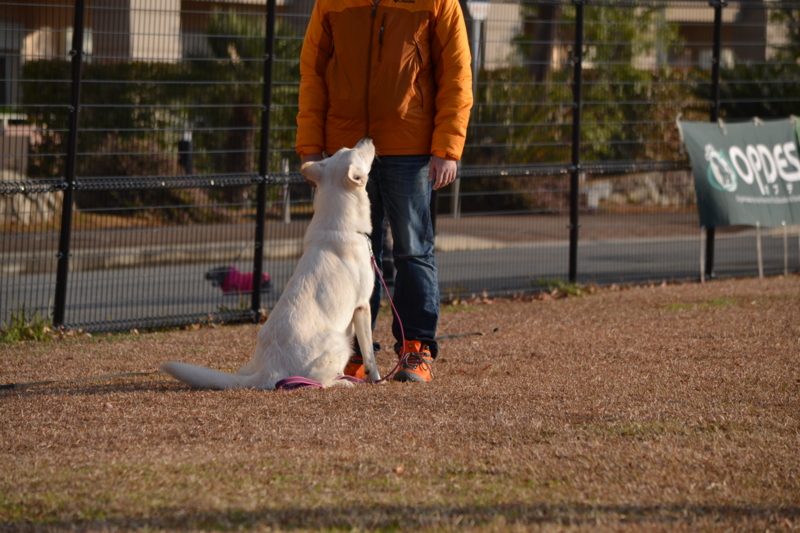 f:id:reeyan:20141222120404j:image f:id:reeyan:20141222120404j:image