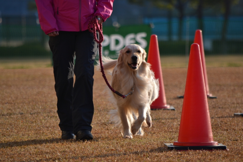 f:id:reeyan:20141222120707j:image f:id:reeyan:20141222120707j:image