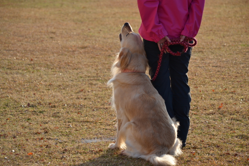 f:id:reeyan:20141222120822j:image f:id:reeyan:20141222120822j:image