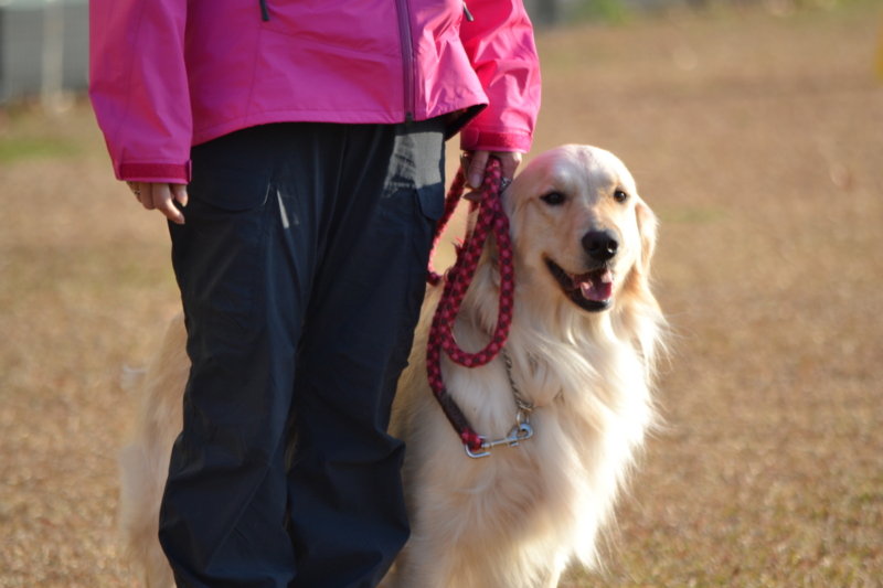 f:id:reeyan:20141222120950j:image f:id:reeyan:20141222120950j:image