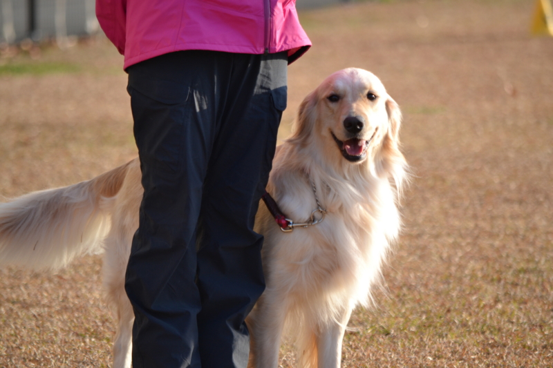 f:id:reeyan:20141222121009j:image f:id:reeyan:20141222121009j:image