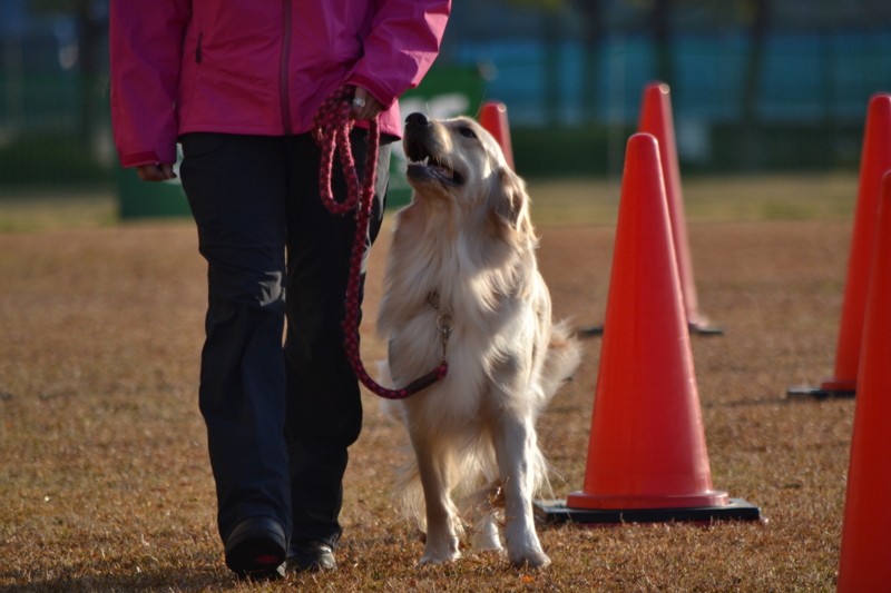 f:id:reeyan:20141222121103j:image f:id:reeyan:20141222121103j:image