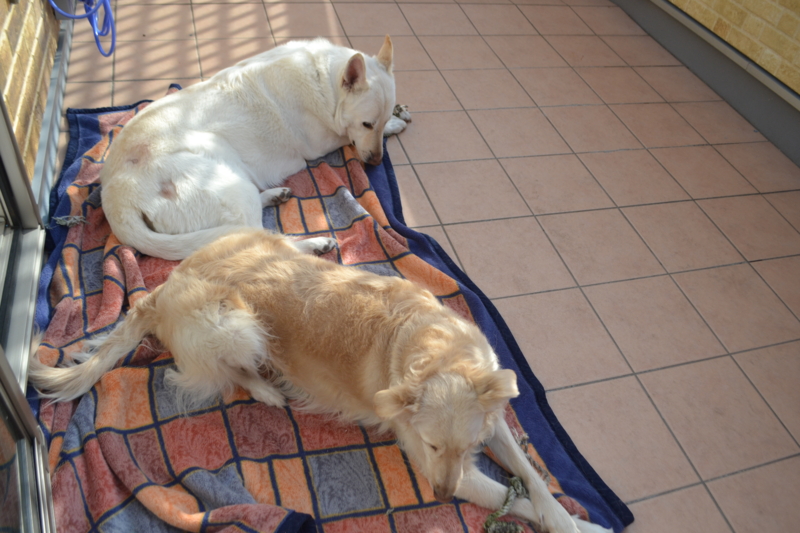 f:id:reeyan:20150222105137j:image f:id:reeyan:20150222105137j:image