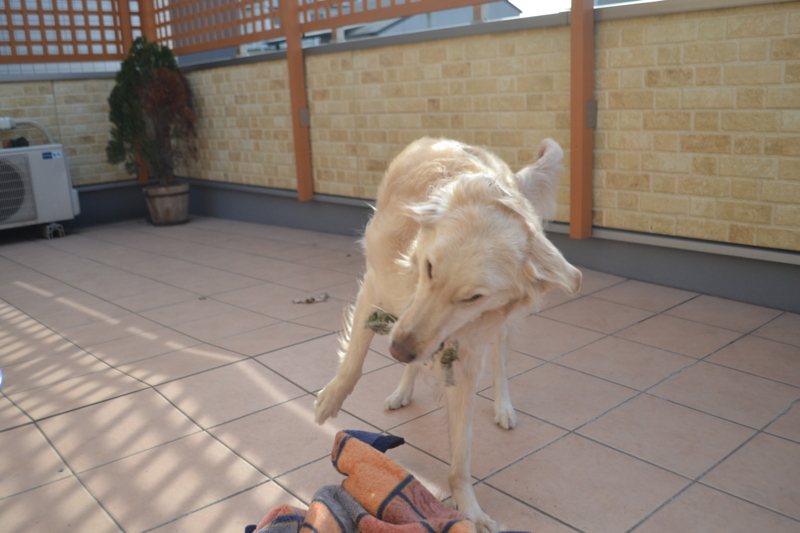 f:id:reeyan:20150222105149j:image f:id:reeyan:20150222105149j:image