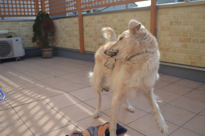 f:id:reeyan:20150222105215j:image f:id:reeyan:20150222105215j:image