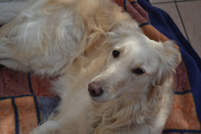 f:id:reeyan:20150222105240j:image f:id:reeyan:20150222105240j:image