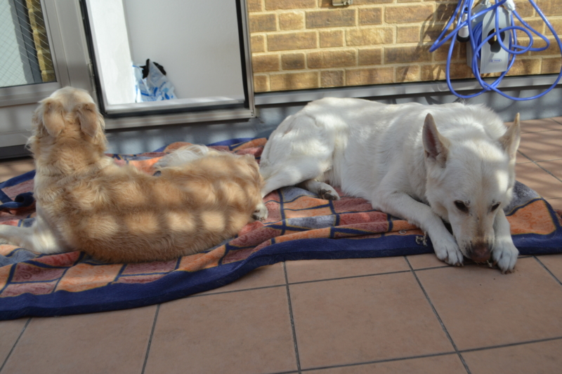 f:id:reeyan:20150222105307j:image f:id:reeyan:20150222105307j:image