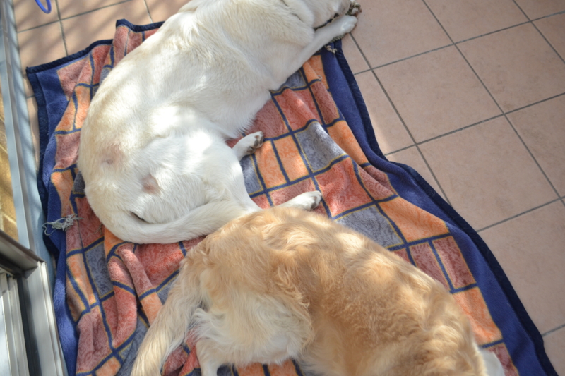 f:id:reeyan:20150222105331j:image f:id:reeyan:20150222105331j:image