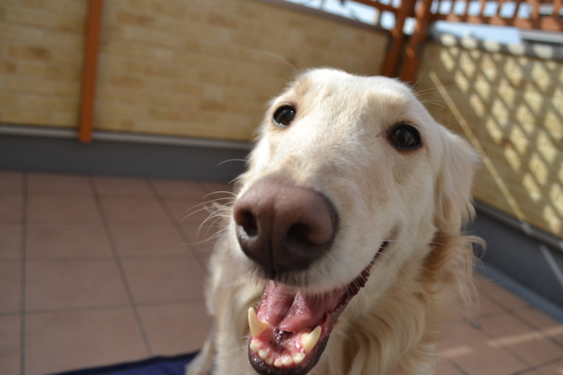 f:id:reeyan:20150222105354j:image f:id:reeyan:20150222105354j:image