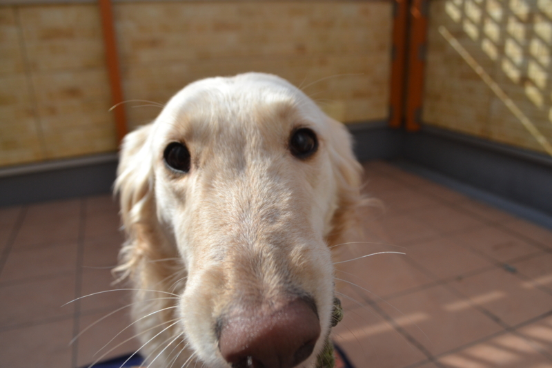 f:id:reeyan:20150222105421j:image f:id:reeyan:20150222105421j:image