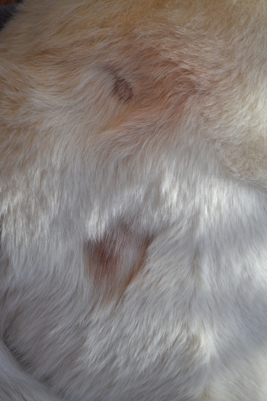 f:id:reeyan:20150222105445j:image f:id:reeyan:20150222105445j:image