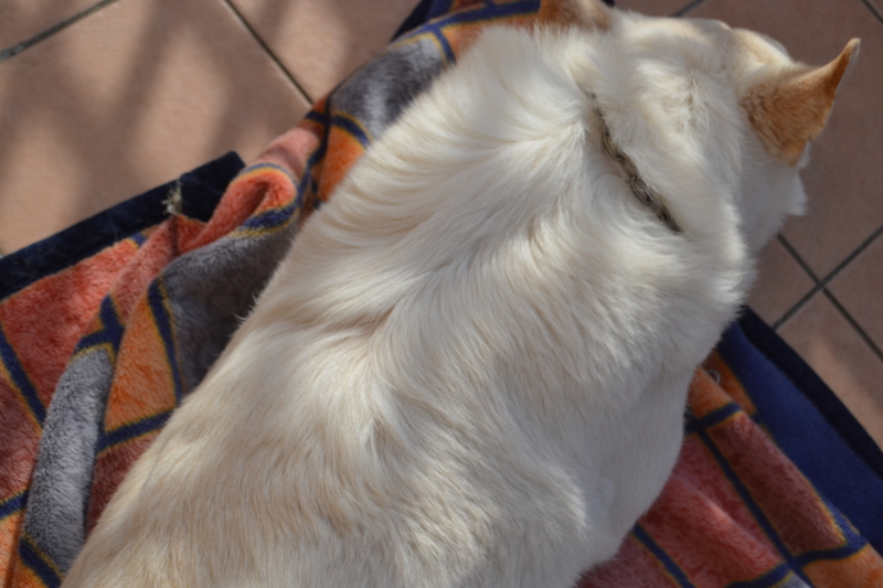 f:id:reeyan:20150222105511j:image f:id:reeyan:20150222105511j:image