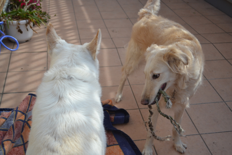 f:id:reeyan:20150222105848j:image f:id:reeyan:20150222105848j:image