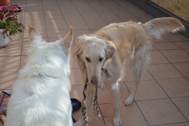 f:id:reeyan:20150222105907j:image f:id:reeyan:20150222105907j:image