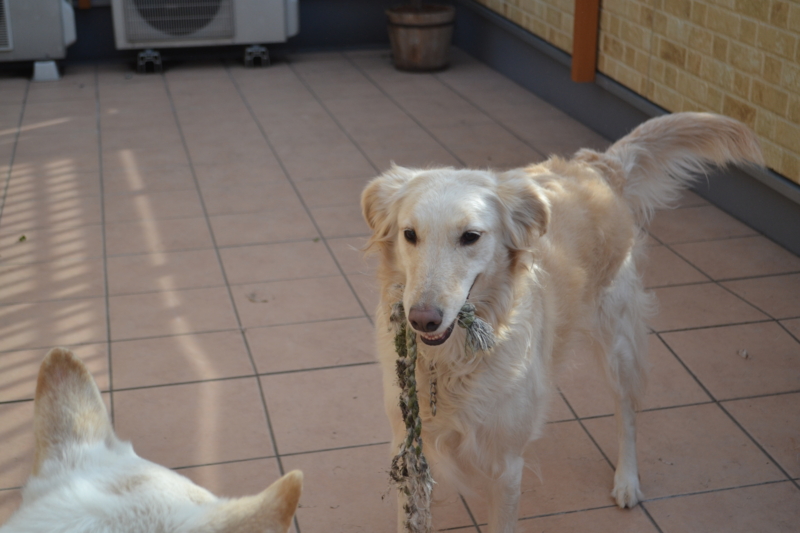 f:id:reeyan:20150222105925j:image f:id:reeyan:20150222105925j:image