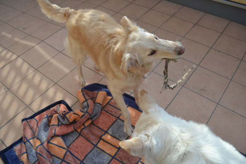 f:id:reeyan:20150222105944j:image f:id:reeyan:20150222105944j:image