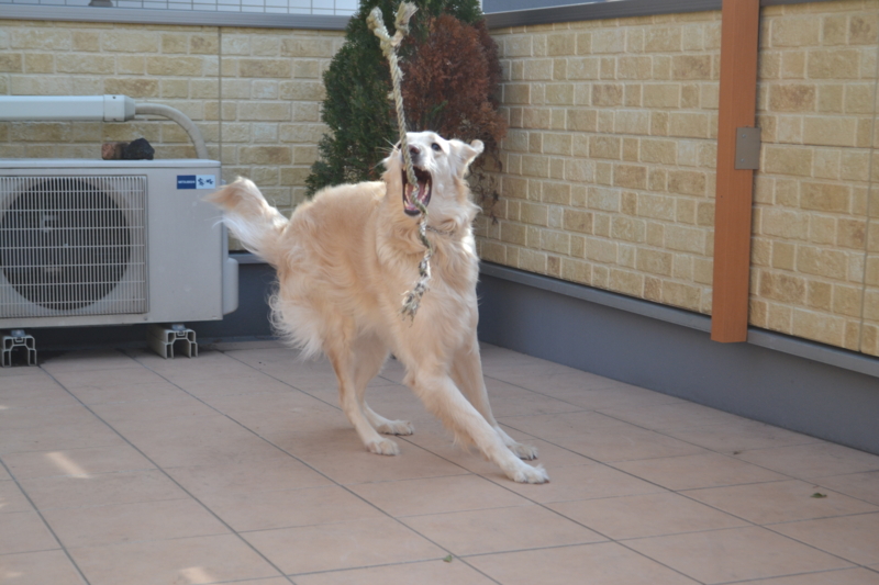 f:id:reeyan:20150222110002j:image f:id:reeyan:20150222110002j:image