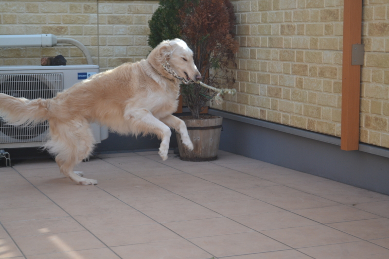 f:id:reeyan:20150222110022j:image f:id:reeyan:20150222110022j:image