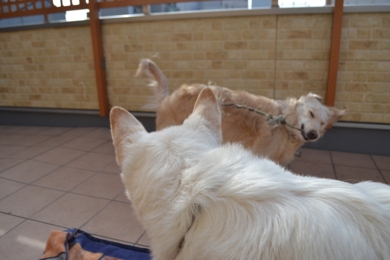 f:id:reeyan:20150222110059j:image f:id:reeyan:20150222110059j:image