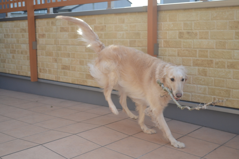 f:id:reeyan:20150222110126j:image f:id:reeyan:20150222110126j:image