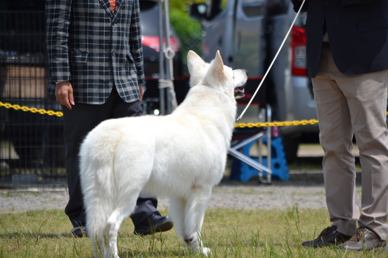 f:id:reeyan:20150517210026j:image