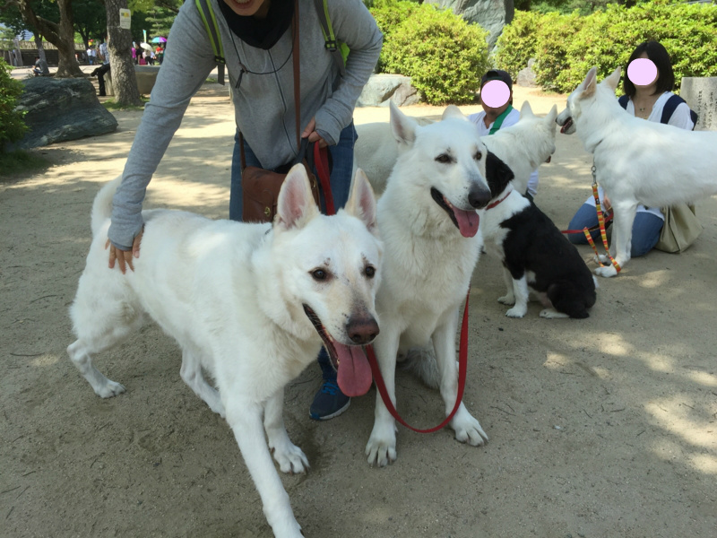 f:id:reeyan:20150523091701j:image f:id:reeyan:20150523091701j:image