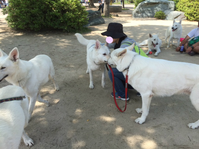 f:id:reeyan:20150523091734j:image f:id:reeyan:20150523091734j:image