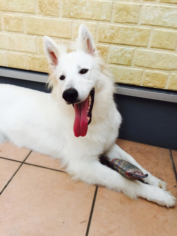 f:id:reeyan:20150711122603j:image f:id:reeyan:20150711122603j:image