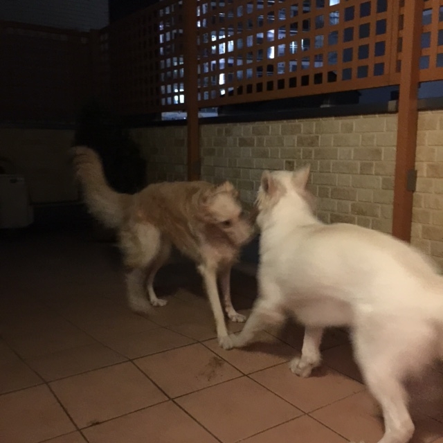 f:id:reeyan:20150805095534j:image f:id:reeyan:20150805095534j:image