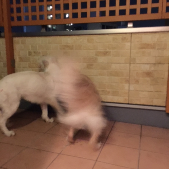 f:id:reeyan:20150805095538j:image f:id:reeyan:20150805095538j:image