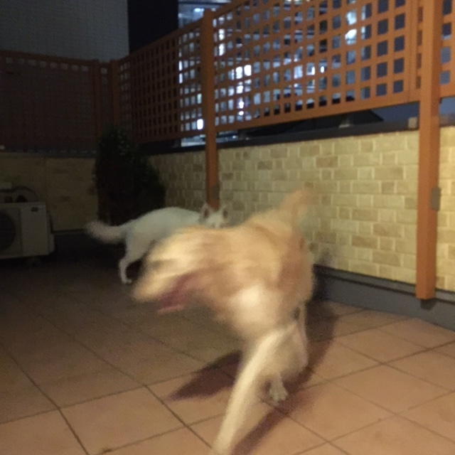 f:id:reeyan:20150805095539j:image f:id:reeyan:20150805095539j:image