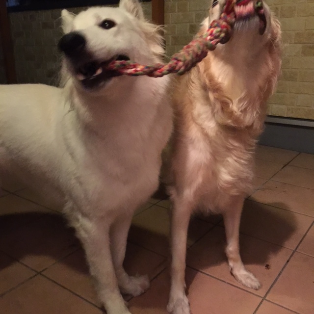 f:id:reeyan:20150805095541j:image f:id:reeyan:20150805095541j:image