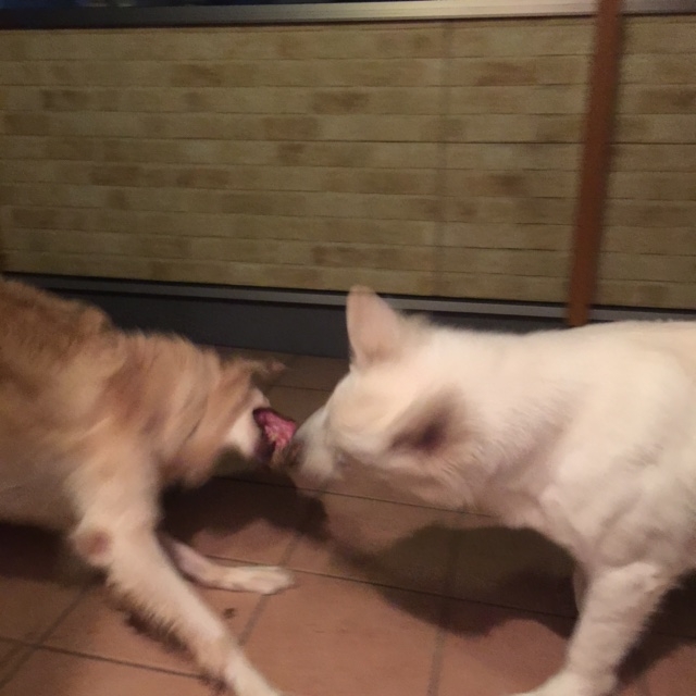 f:id:reeyan:20150805095546j:image f:id:reeyan:20150805095546j:image