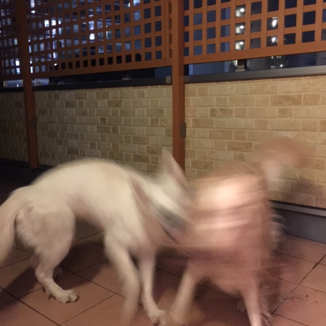 f:id:reeyan:20150805095548j:image f:id:reeyan:20150805095548j:image