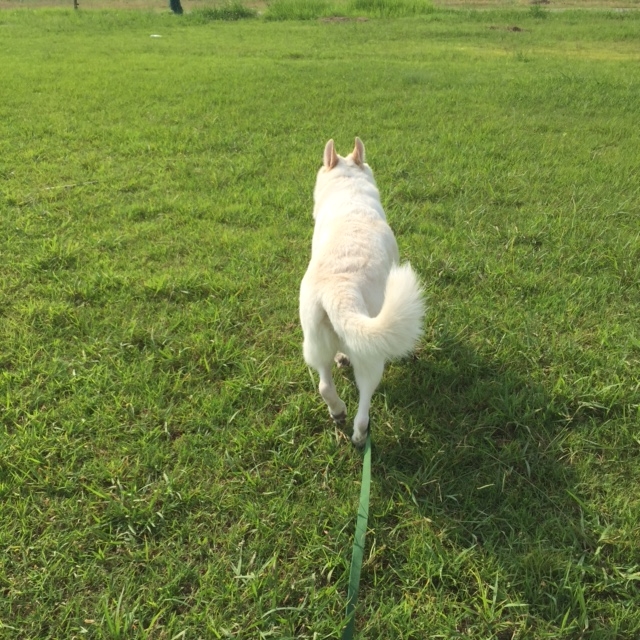 f:id:reeyan:20150805095728j:image f:id:reeyan:20150805095728j:image