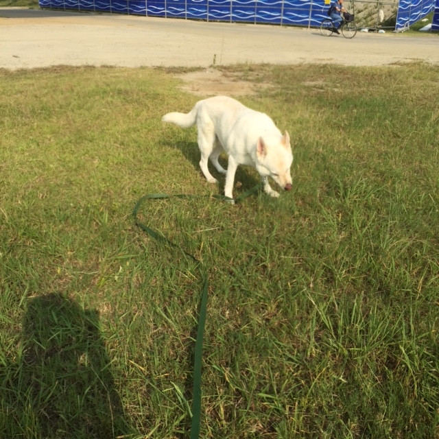 f:id:reeyan:20150805095730j:image f:id:reeyan:20150805095730j:image