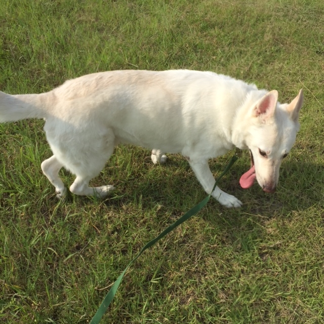 f:id:reeyan:20150805095731j:image f:id:reeyan:20150805095731j:image