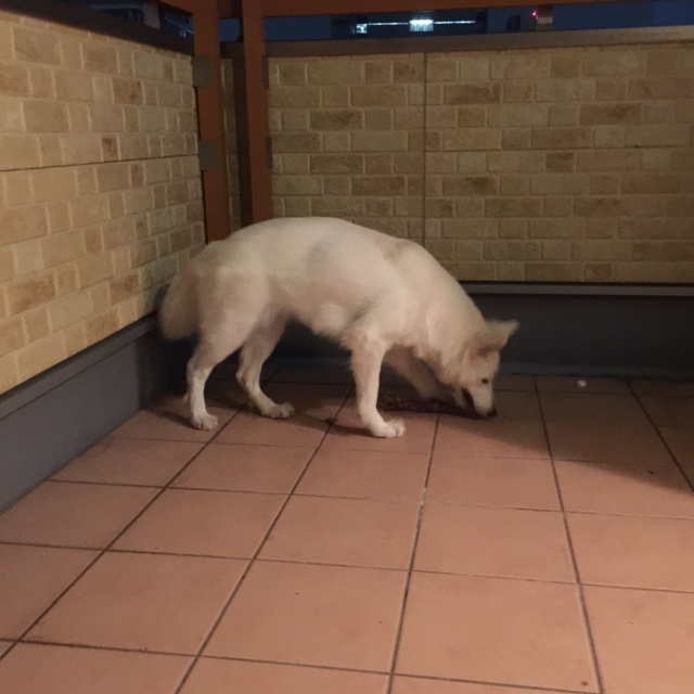 f:id:reeyan:20150805095732j:image f:id:reeyan:20150805095732j:image