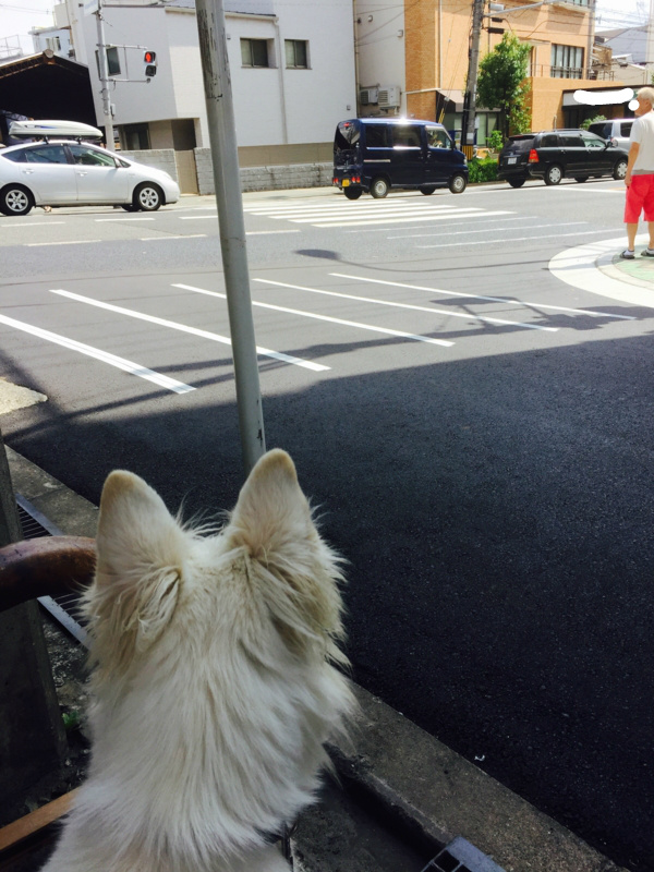 f:id:reeyan:20150807114259j:image