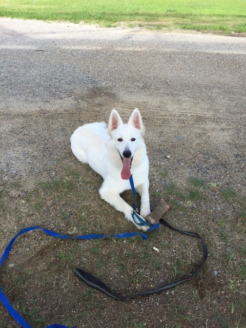 f:id:reeyan:20150912134513j:image f:id:reeyan:20150912134513j:image