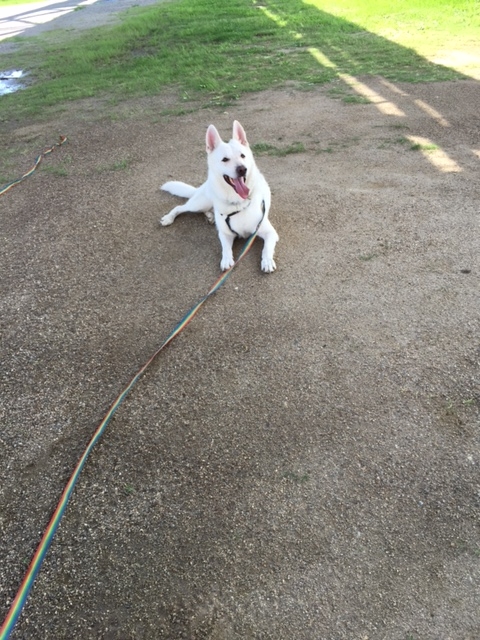 f:id:reeyan:20150912134515j:image f:id:reeyan:20150912134515j:image