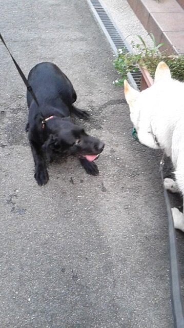 f:id:reeyan:20150923140857j:image